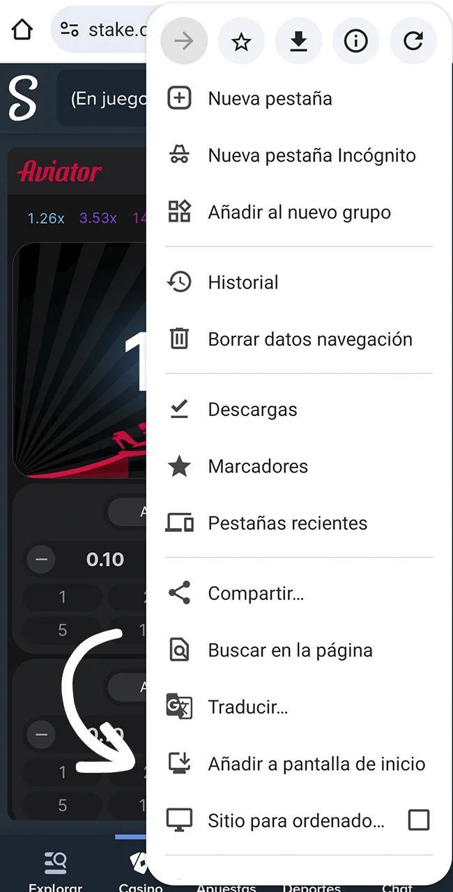 Configurá tu acceso directo móvil entrando al sitio oficial Stake.