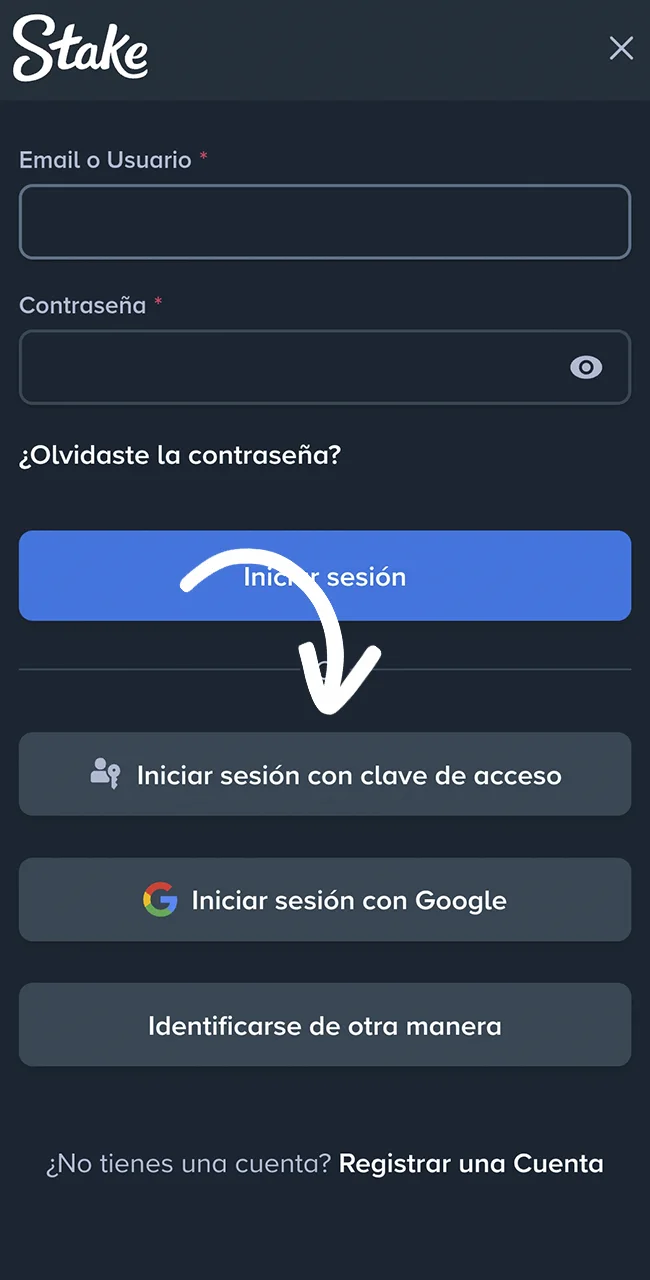 Ingresá a tu perfil de usuario en el sitio oficial Stake hoy.
