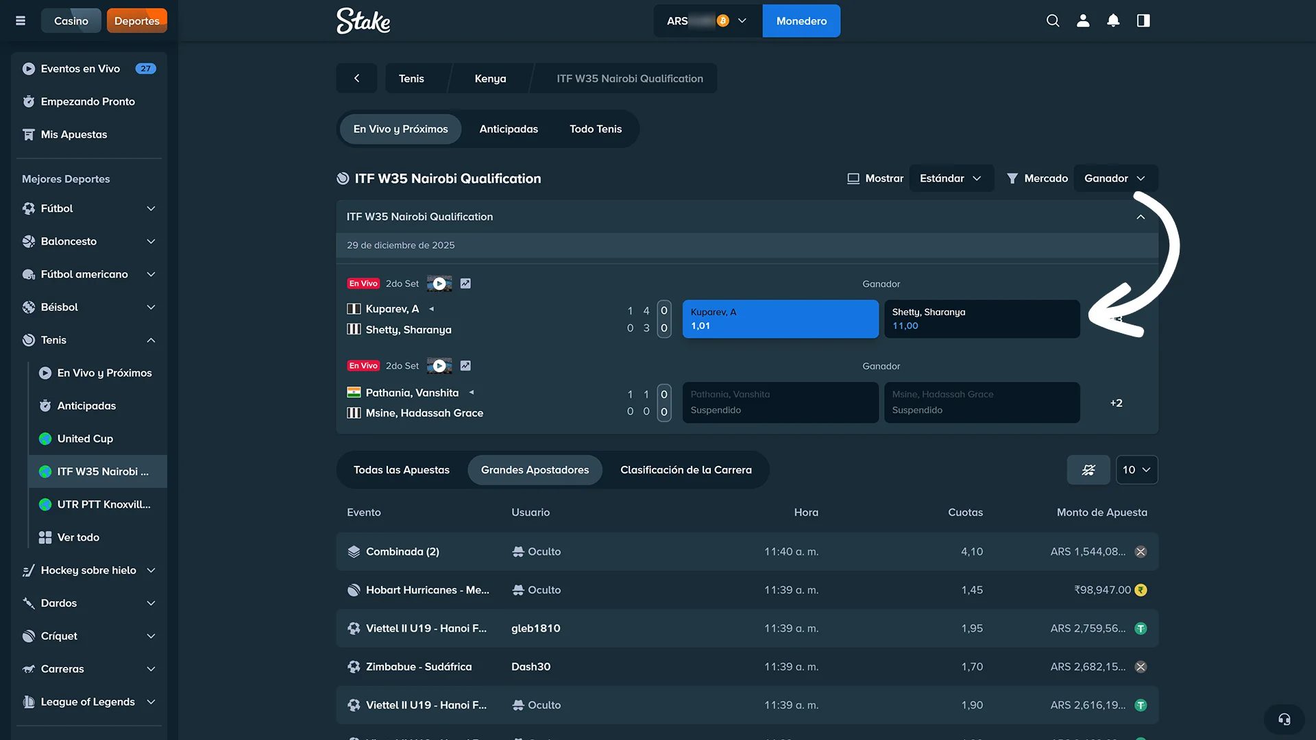 Elegí las mejores cuotas de tenis en el sitio oficial Stake hoy.